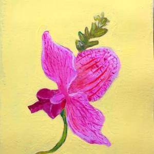 A Flower From Nowhere